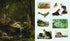 THE STICKER TREASURY OF WOODLAND ADVENTURES - SMITH STREET BOOKS